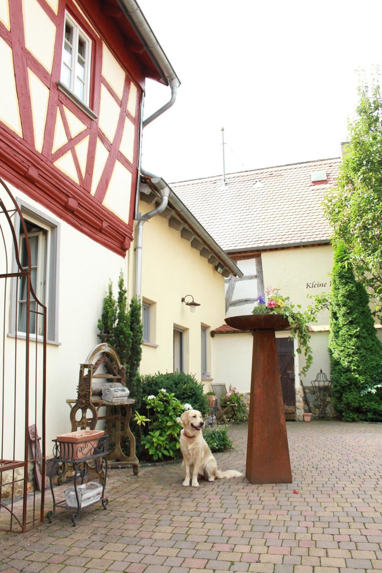Kleine Residenz Am Schloss Hochheim am Main Exteriör bild